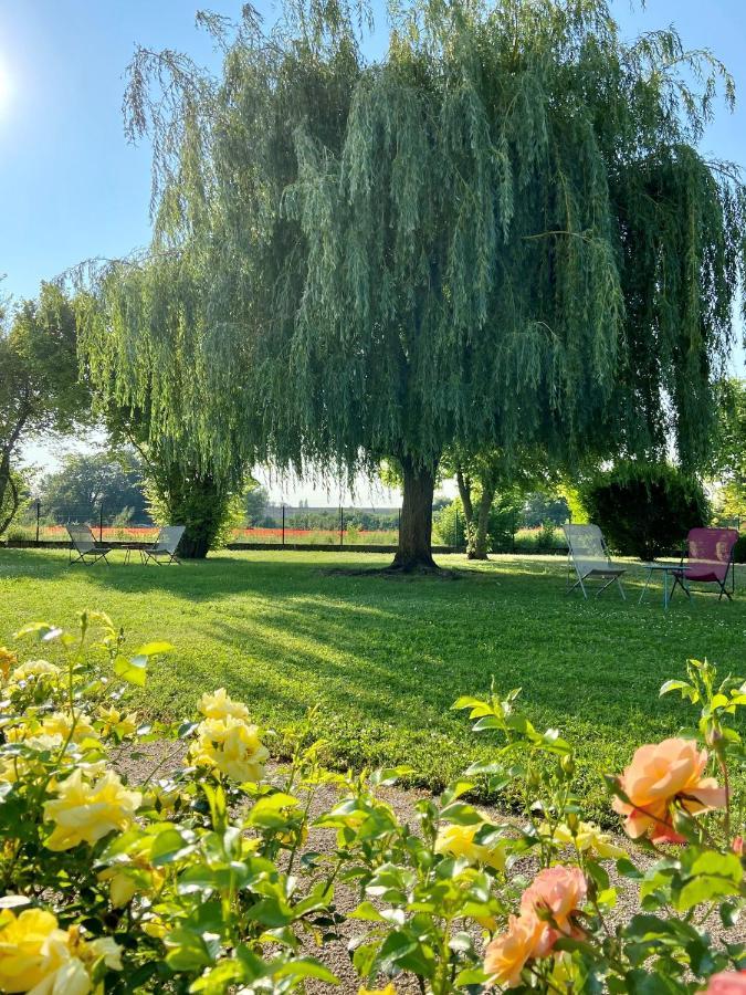 Hotel L'Oree Des Vignes Gilly-lès-Cîteaux Exteriér fotografie