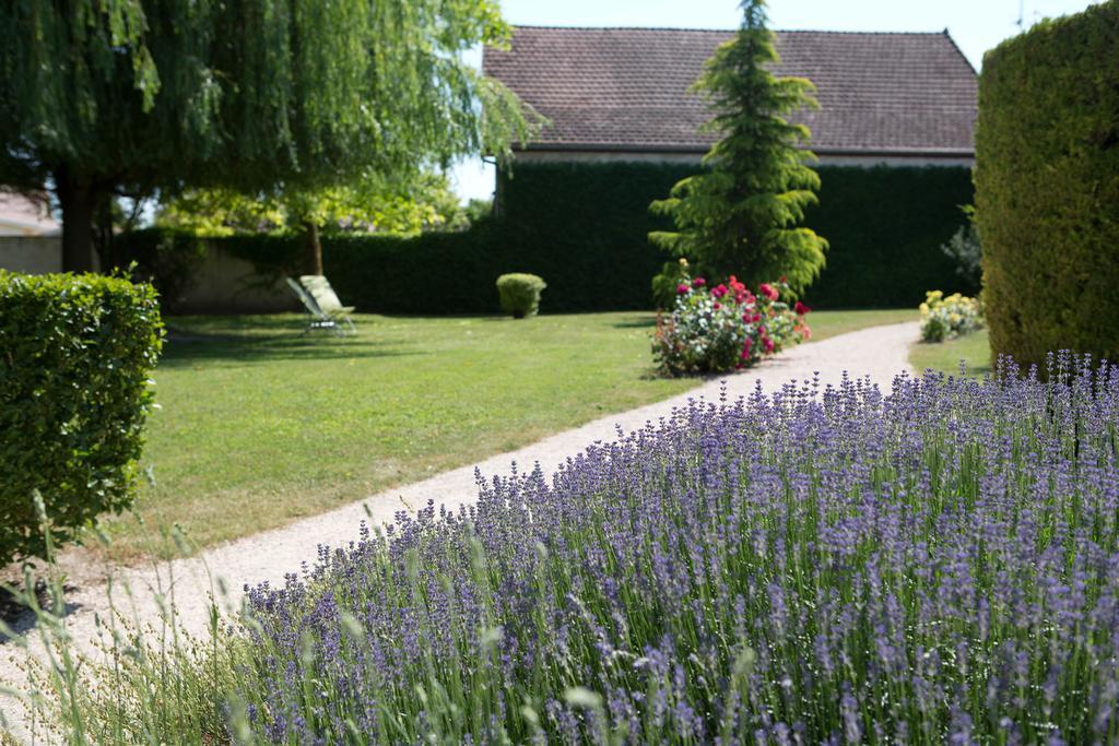 Hotel L'Oree Des Vignes Gilly-lès-Cîteaux Exteriér fotografie