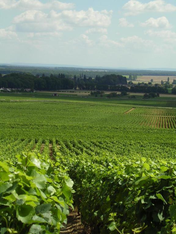 Hotel L'Oree Des Vignes Gilly-lès-Cîteaux Exteriér fotografie